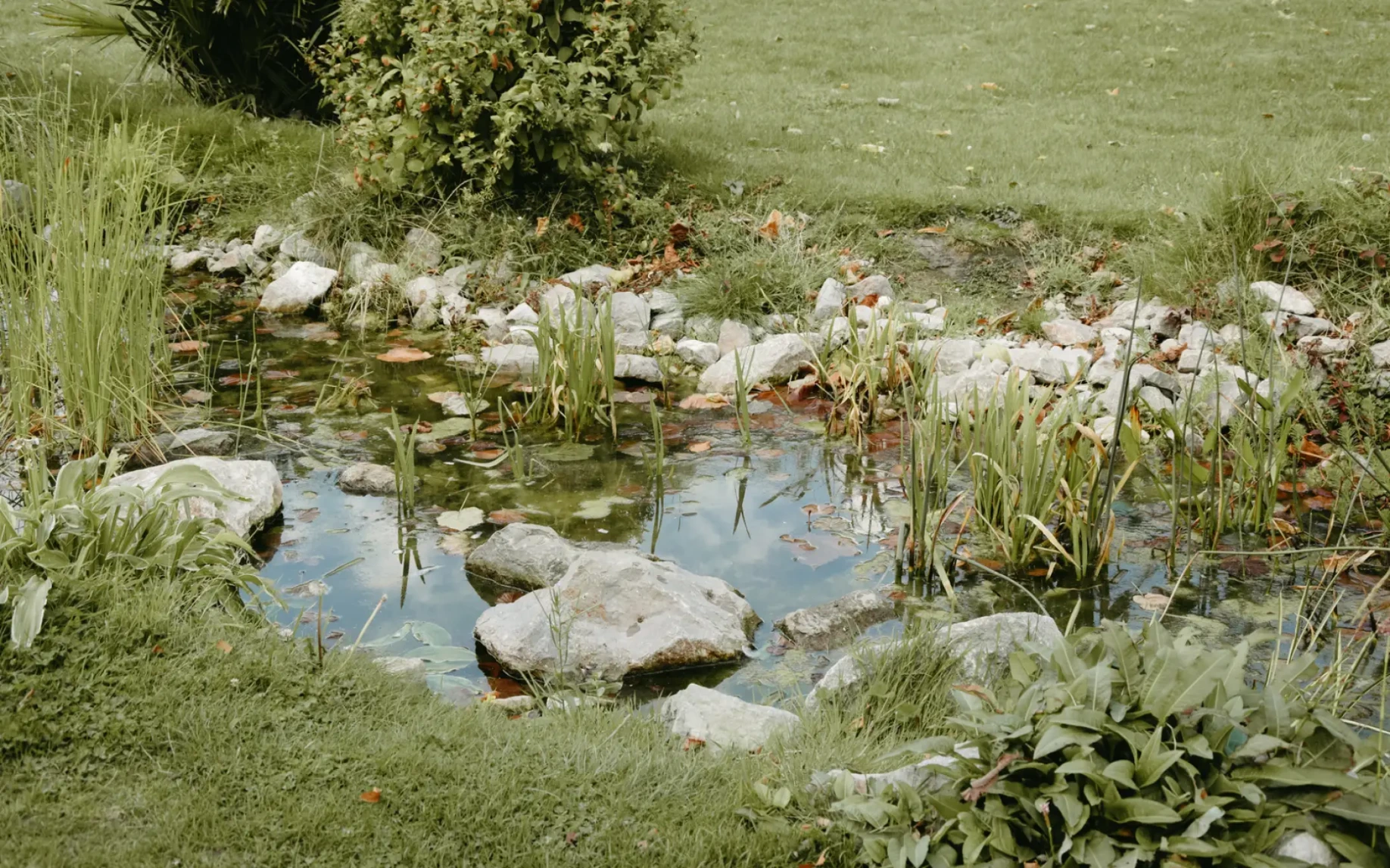 nieuwbouw-kapelle-op-den-bos-bospark-natuur-ecologie-parklandschap