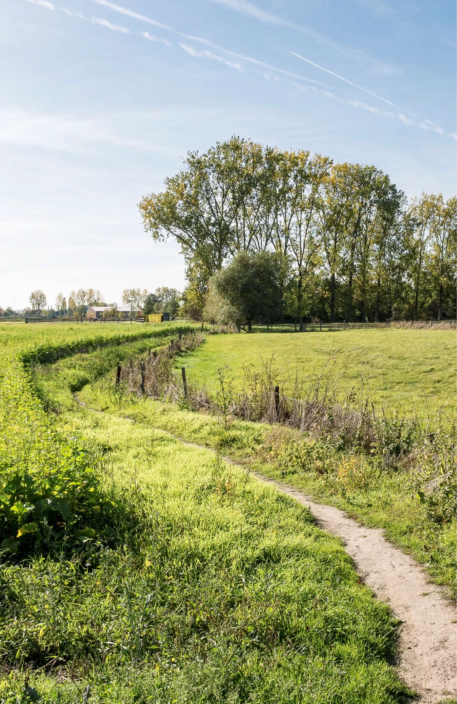 nieuwbouw-kapelle-op-den-bos-bospark-wandelen-wandel-routes